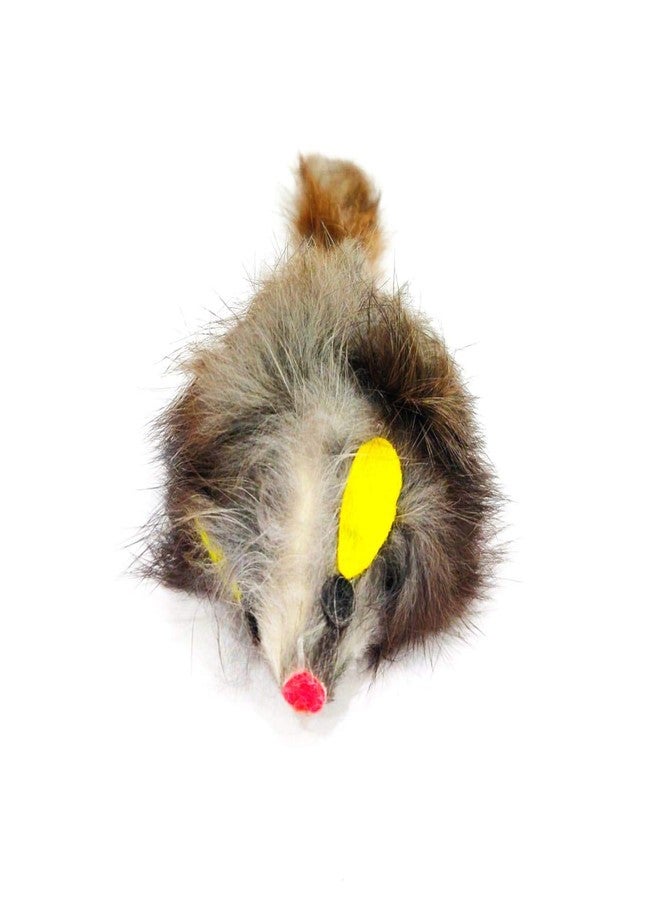 BLACK DOG Squealing Mouse Interactive Cat Toys Cat Toys for Kittens (Pack of One) - Image 3